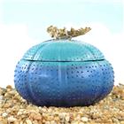 Design Maritim, Polyresin Seeigel, Dose mit Deckel blau, 18x18x13cm