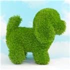 AniPlants, Grasfigur, "Hund" stehend, Gartendeko, 33cm