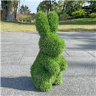 AniPlants, Grasfigur, "Hase" aufrecht stehend, Gartendeko, 48cm