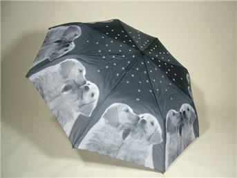 Taschenschirm (Automatisch) Labradors in Love Retro